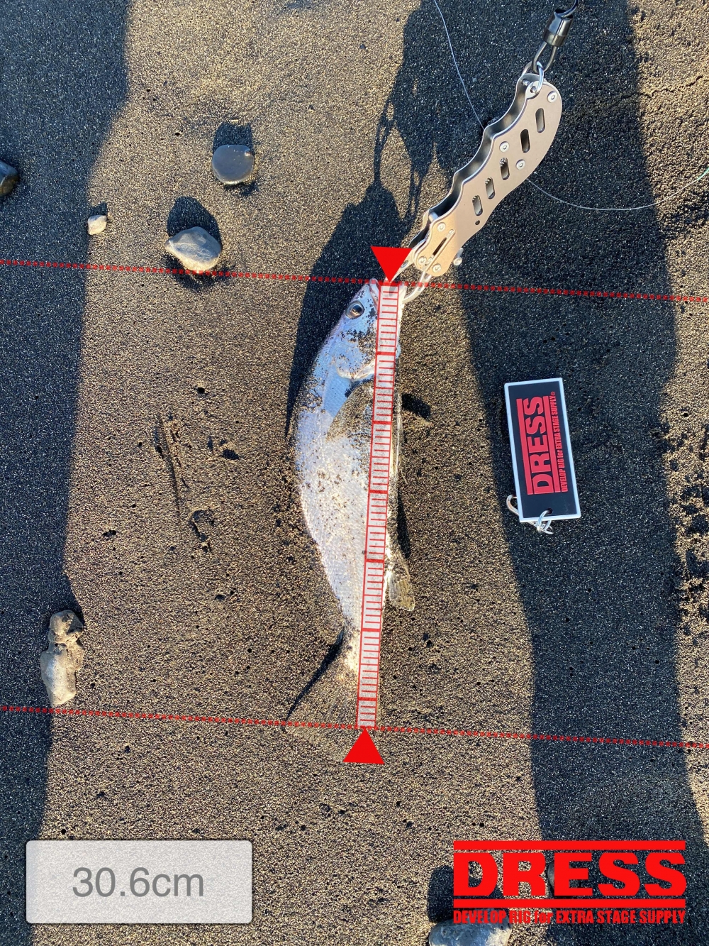 11636_0_f0430c9d780bc74ff6ce5d7903e92a66