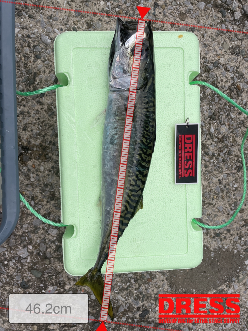 11660_0_7e83d96f60bd7ded8aeae06960992721