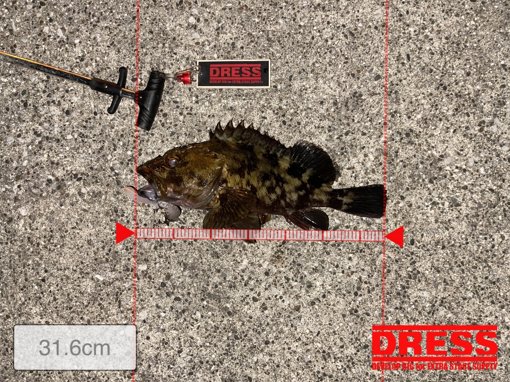 11695_0_a6d682a124d811c5eeed1b8ee4fb3ac0