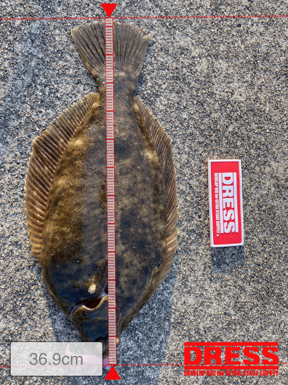 11707_0_ec8bb8a103721317d5a3646a5993503d