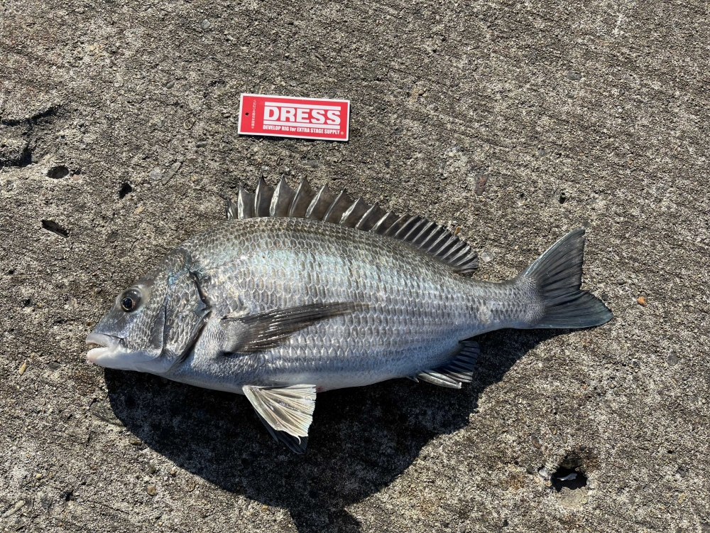 11716_0_d29e75f662087fa555e6aa7b75d71038