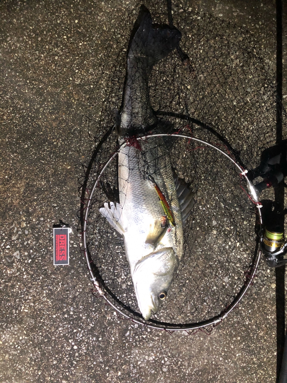 11719_0_dde377fc847ce15c555b6c6711b67e3c