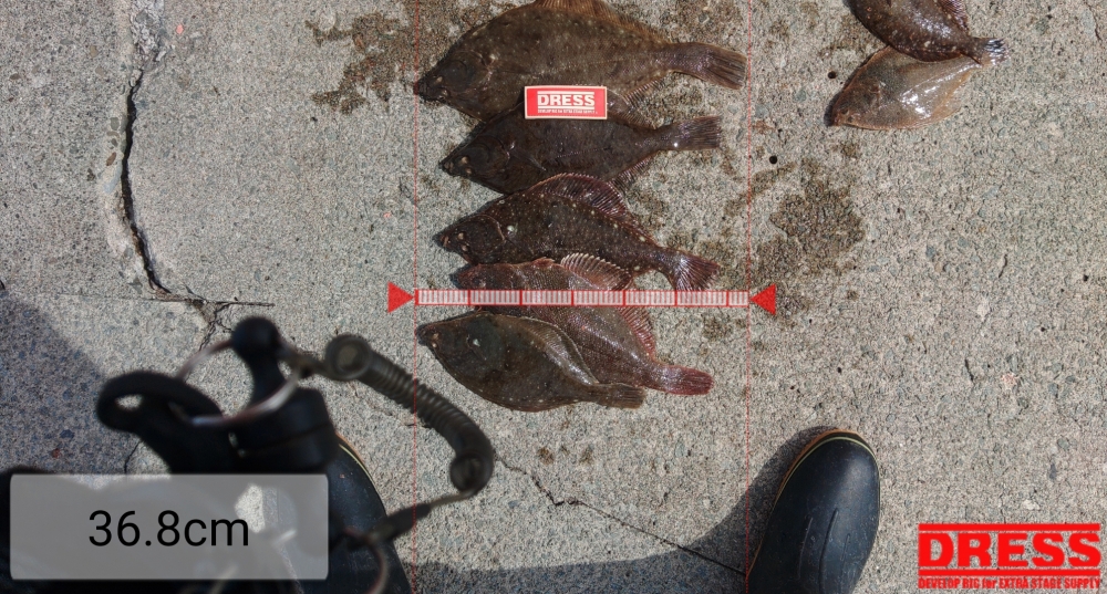 11731_0_0b13a9e451f743220799e7e058a9b45b