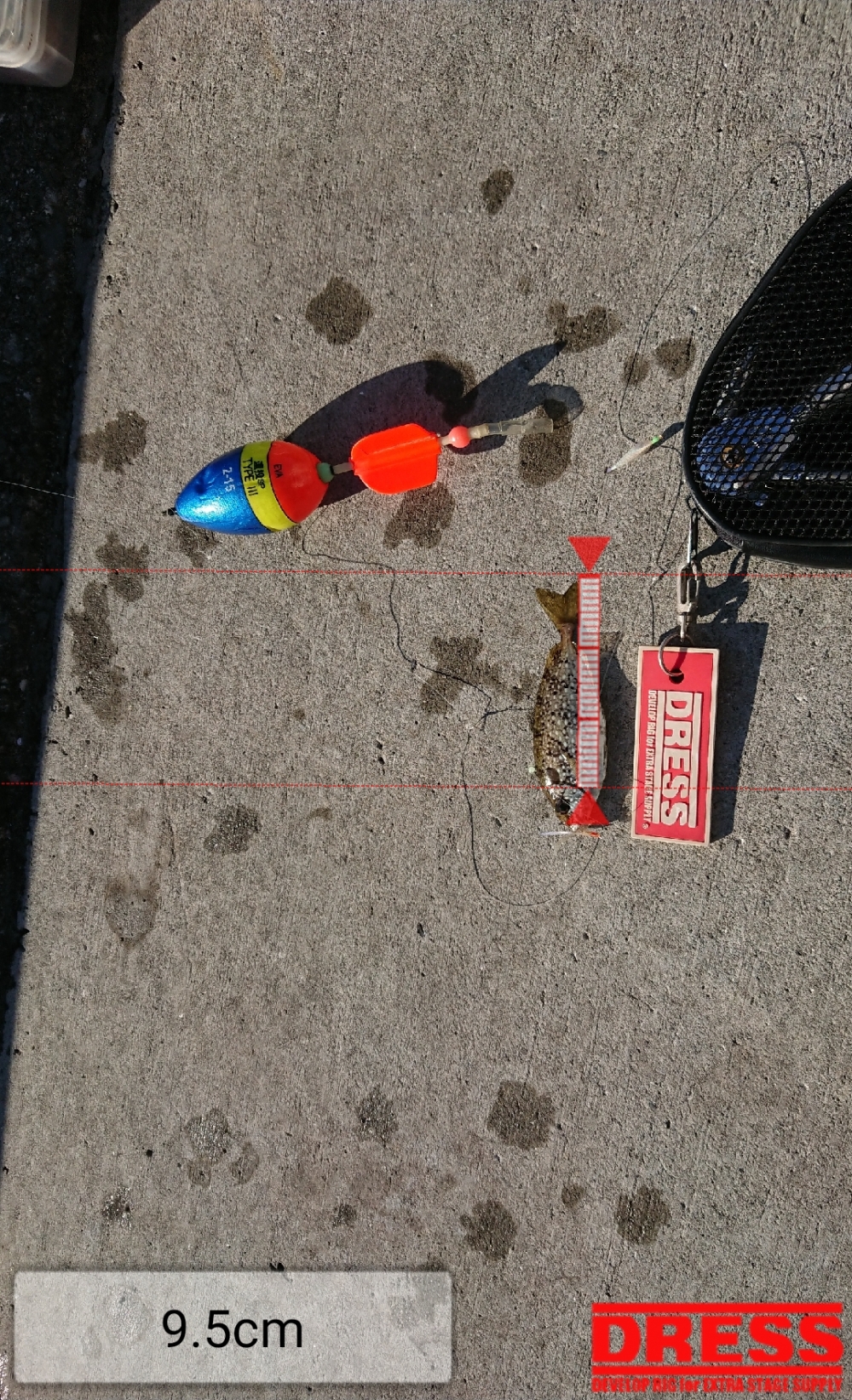 11741_0_dbb07aa3498670d128412b8da2d1851a