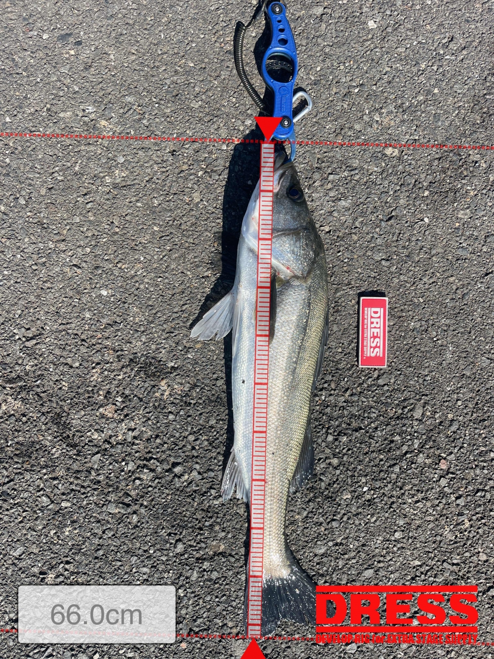 11772_0_101e8b0f6cbd6ce3f74ff0b1611a354e