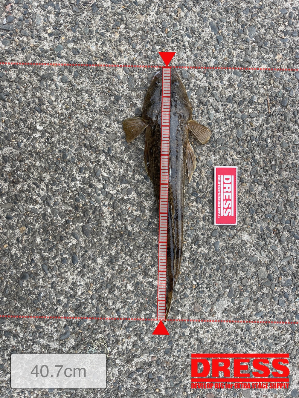 11772_0_ecdf5d898f31a612f9ea3155884e71c8