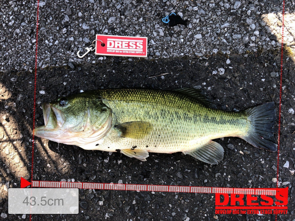 1180_0_14036d8e27589b0841eee925e5544c1c