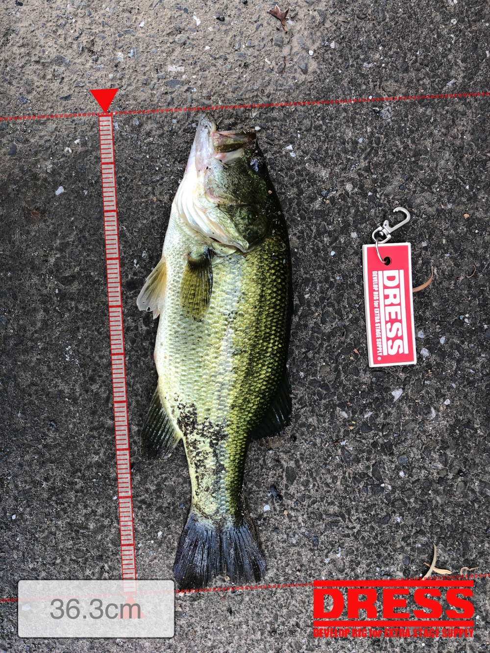 1180_0_22e423f22daed791b2b3041371f613c0