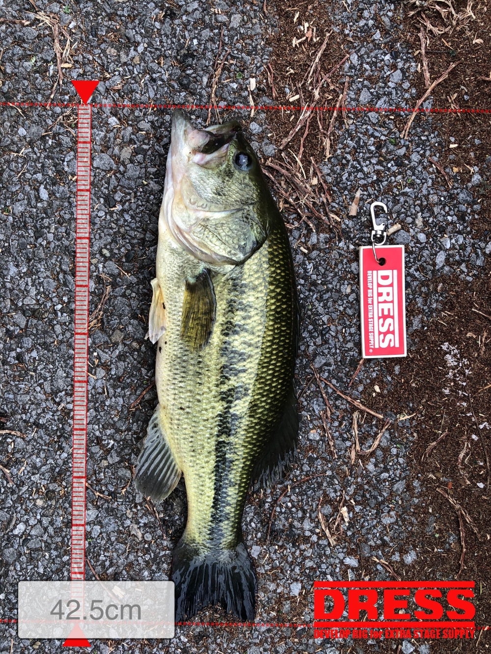 1180_0_4bdaf63e4ca0286c3cb65908a7947792