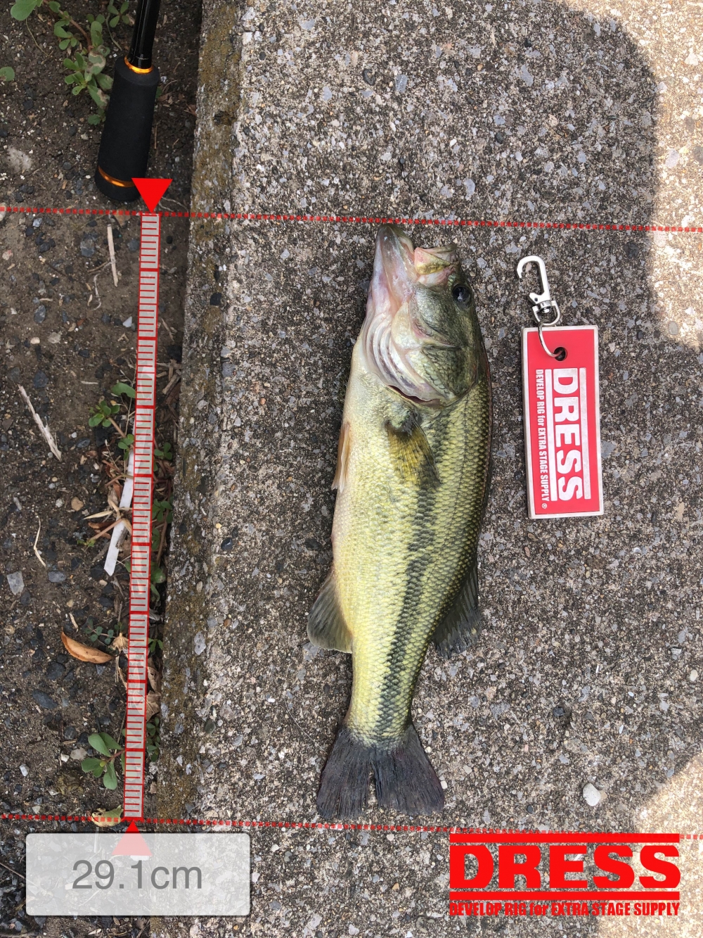 1180_0_5fed625eebeea70036da0beda42b3cfb