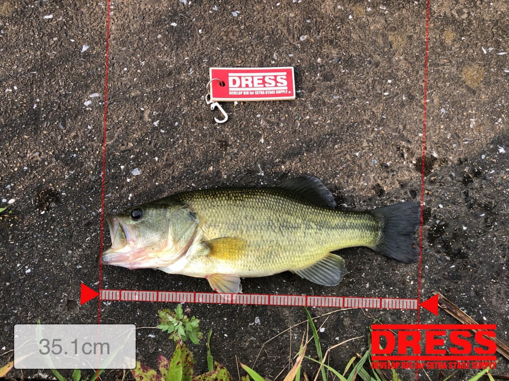 1180_0_88d41520ad151bce5944c57d75524b64