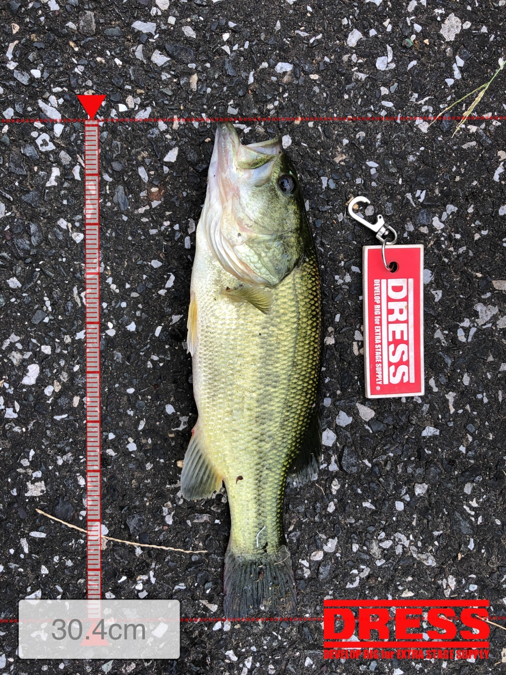 1180_0_a690d564bd9a7e7644d365c9af474b4b