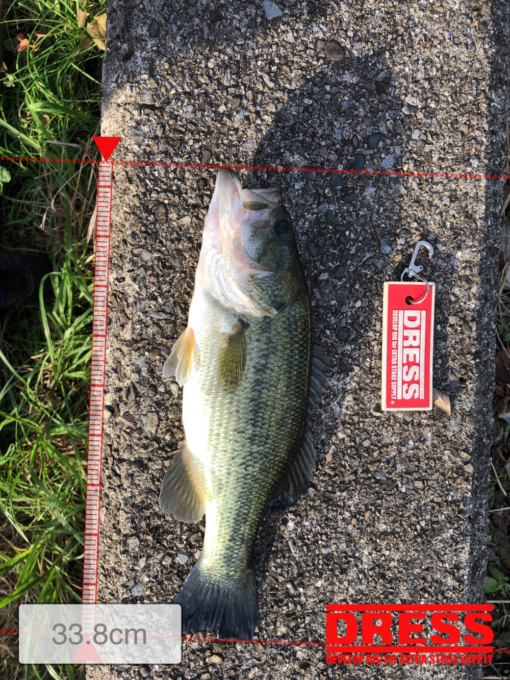 1180_0_c301aa3e1b9180c7fe4f3ca9b218bc20