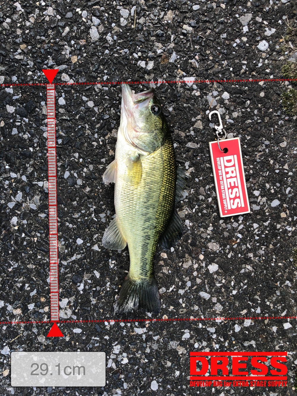 1180_0_f748ff28c8b2eed6994a783d000a0f58