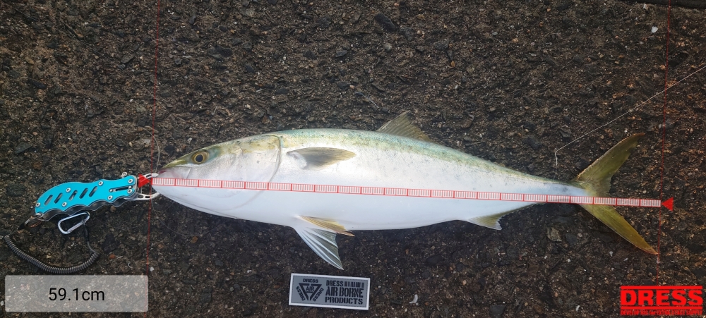 11847_0_191903f8dd9a2ad1de4ccaca0844f09d