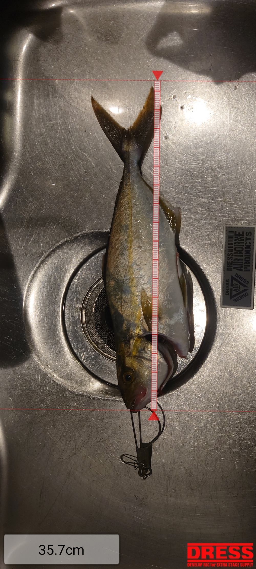 11847_0_874bcfdeab99e8b006f792806011a216