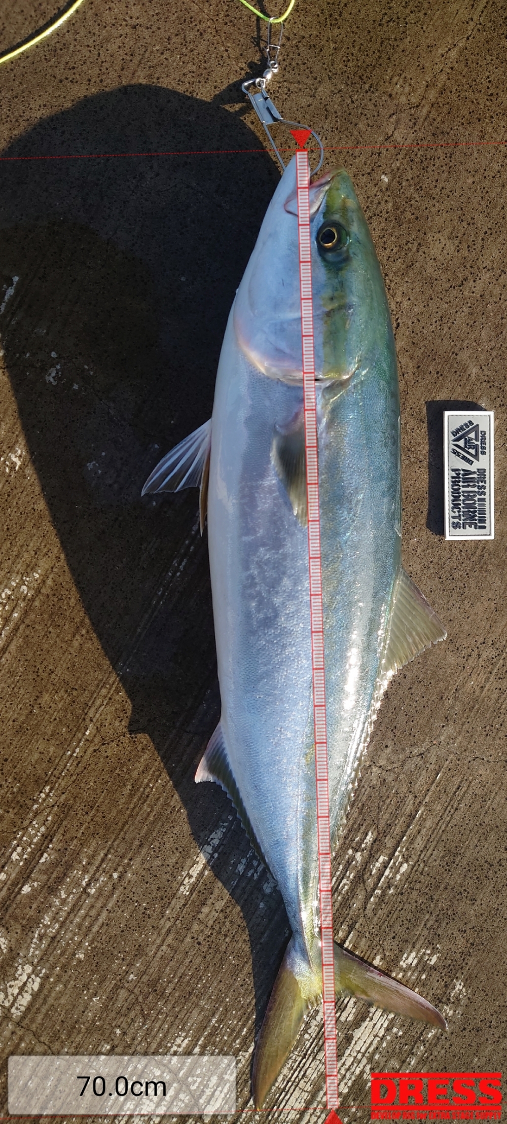 11847_0_b80cb21ffee057b1d1bd6e5c9866a491