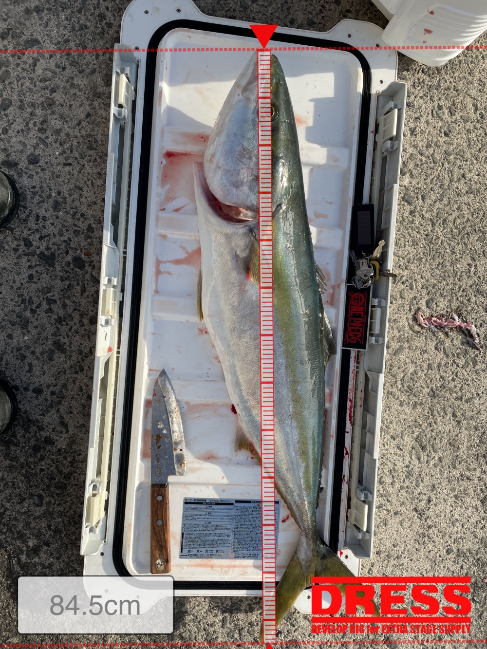 11908_0_b5703e0f755b5236967e3f06fdc37040