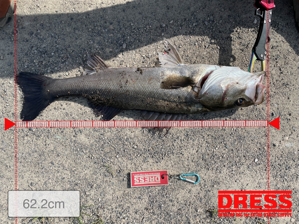 11961_0_1e47ab9b7ba5c500c4fb37aa67f58de0