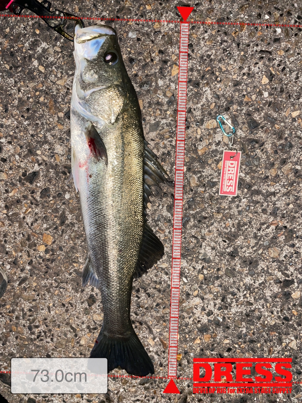 11961_0_45980c2e3a12e1f45aa56fed705f391b