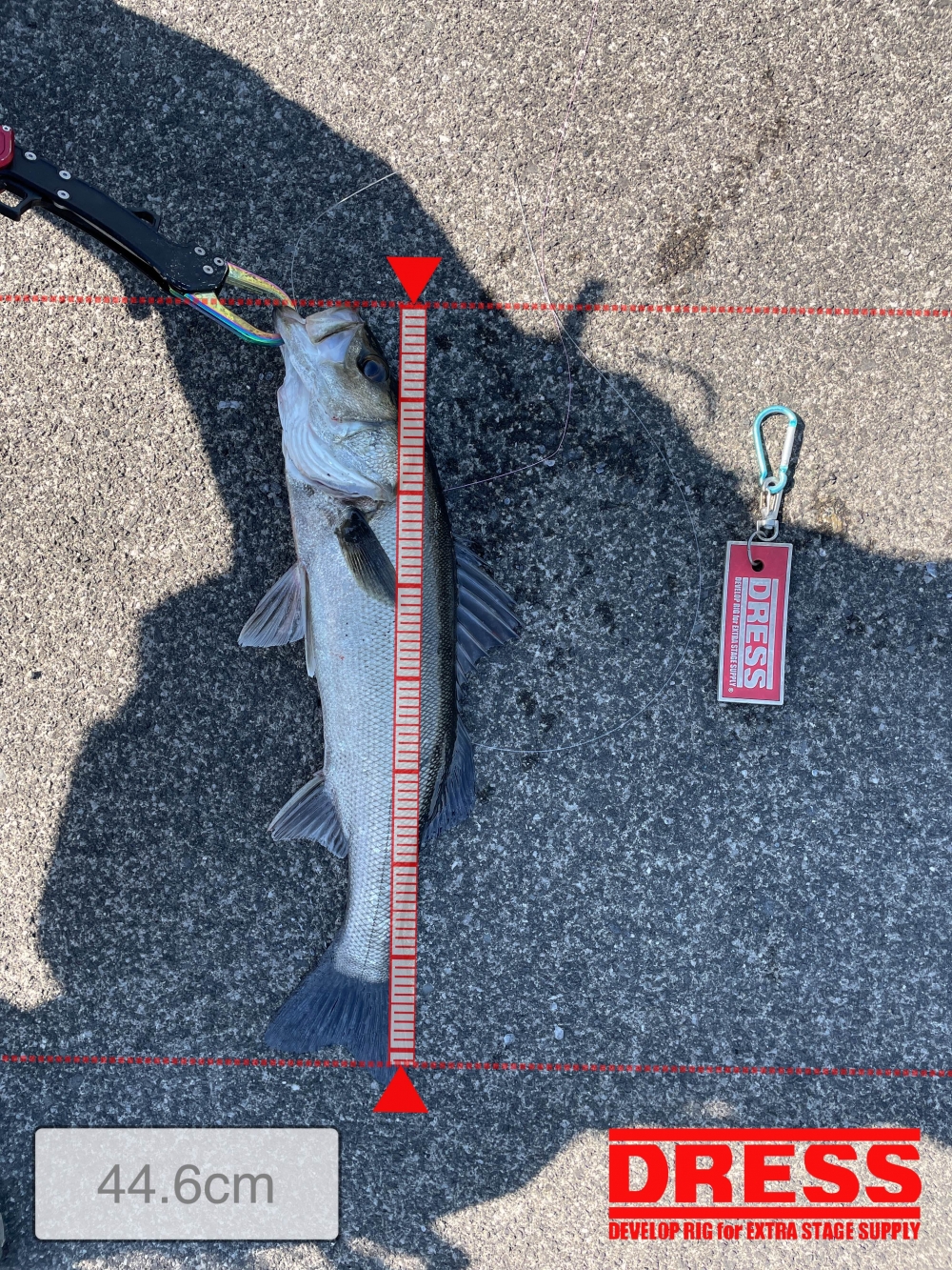 11961_0_4e057f5aeeb78802034692cbba4e9598