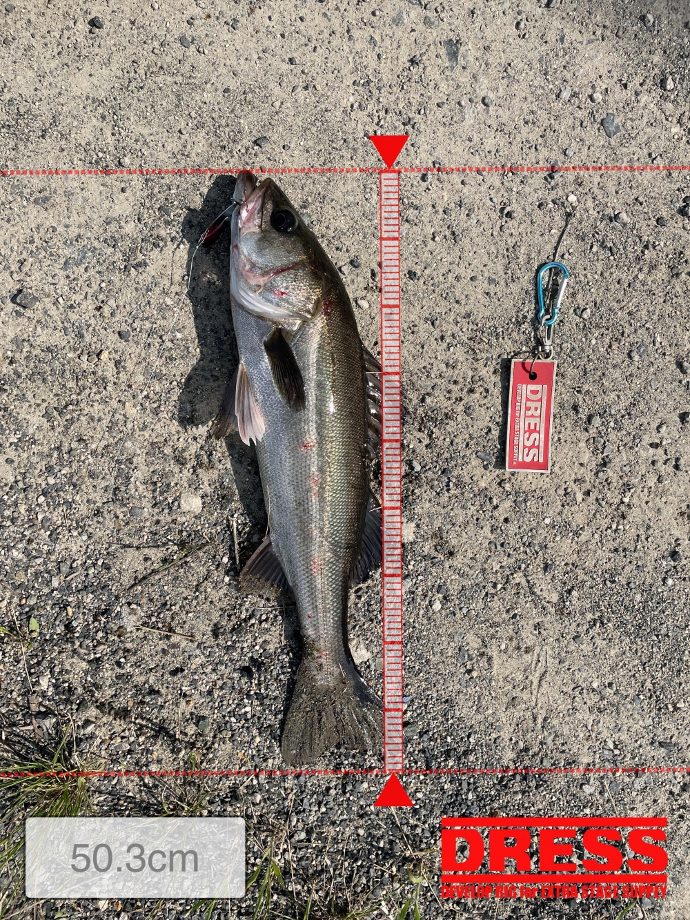 11961_0_73d2f23c03f3d7fb064a670af571b9aa