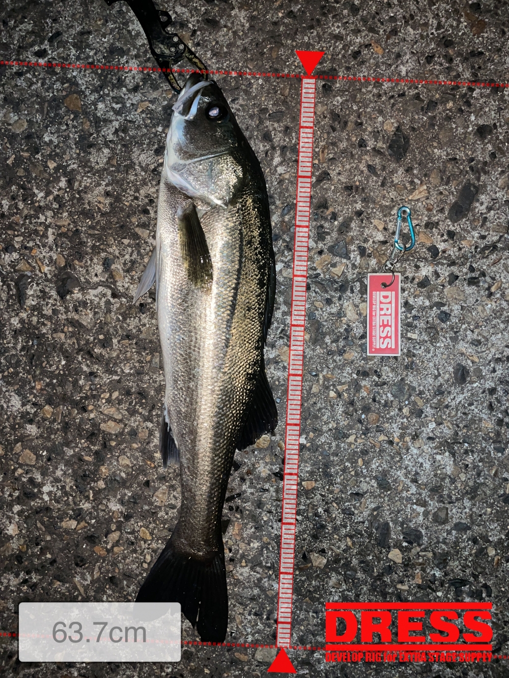 11961_0_d50792d6fc74d132c3c62000ce088cc2