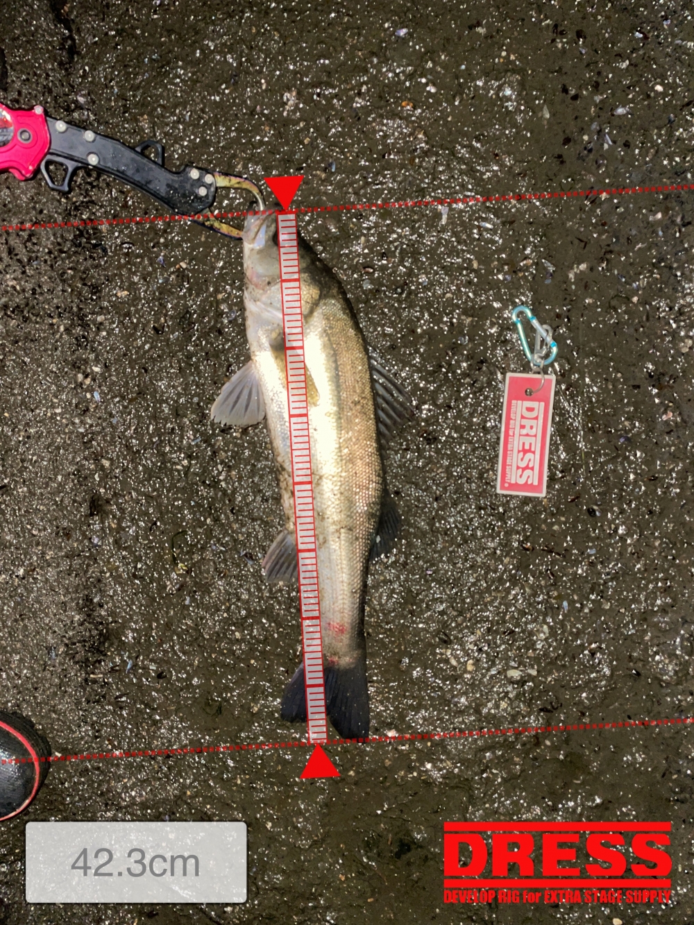 11961_0_f4828fdebaaa8800721dc8df70852e39