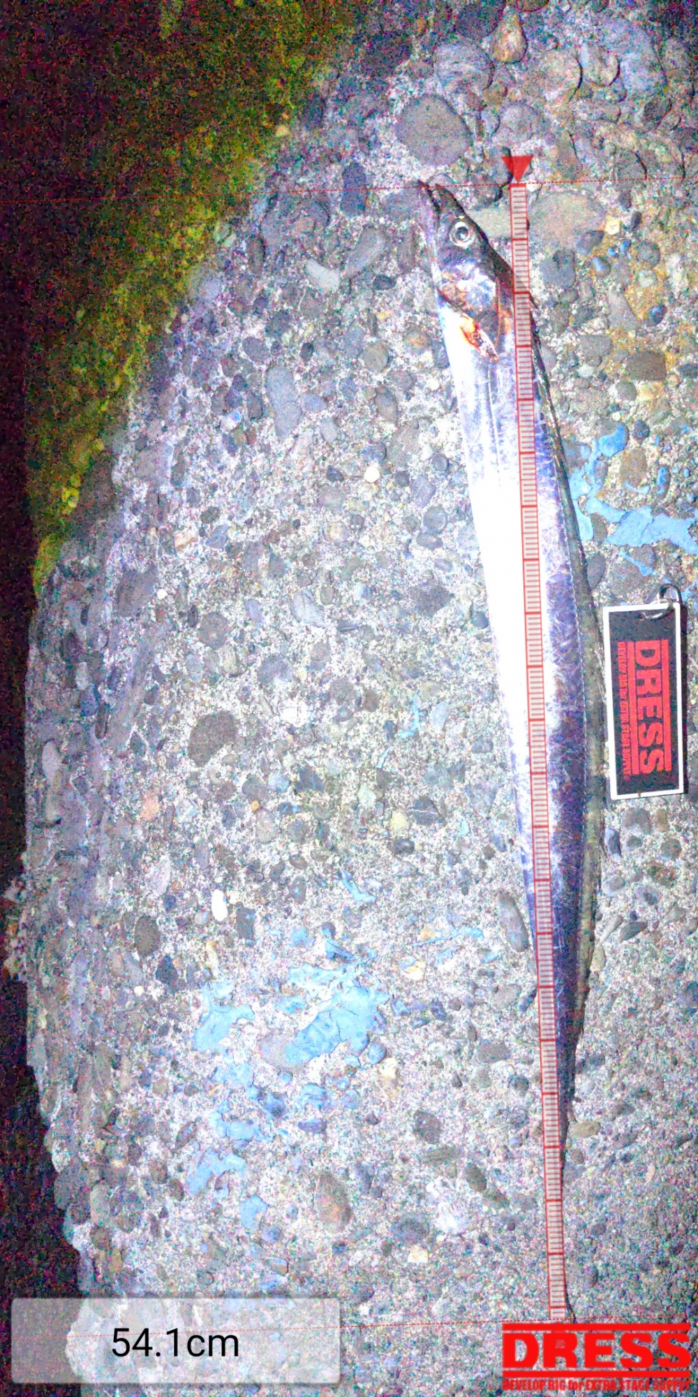 11986_0_73bd7add67c80faf01ca587c74b9bda6