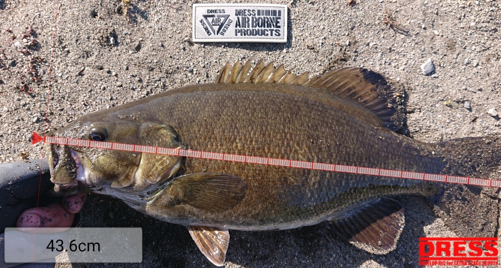 11990_0_0d88bbfb2096cb44b1e2623e509570fa