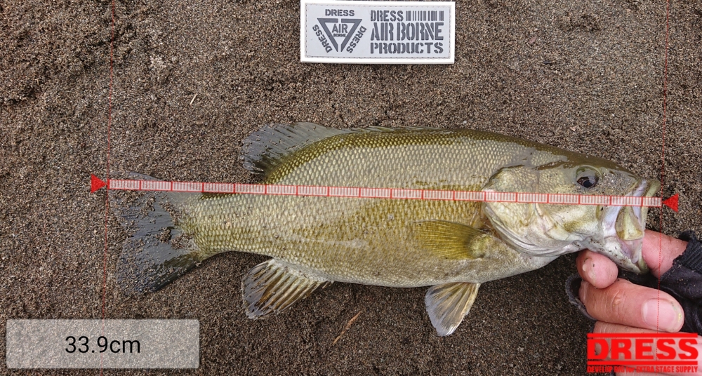 11990_0_10f678a71221d39ac5eaac3cb7538ccb