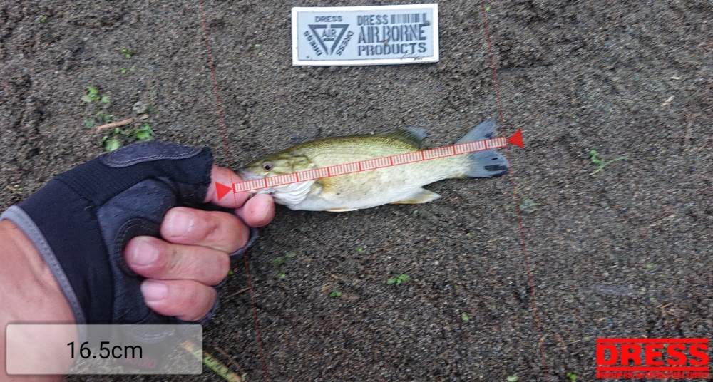 11990_0_558b6399d972191e43dfc1308d18f502