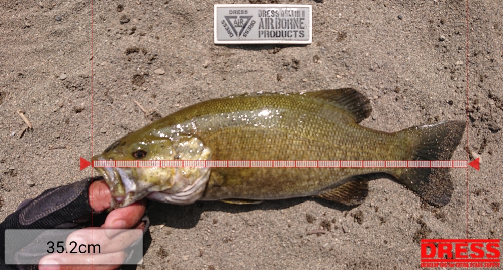 11990_0_8e172a392b74e11742969f11f342c7b1