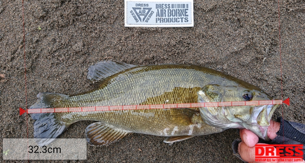 11990_0_b07961af686671bf17d686f8e0afc11f