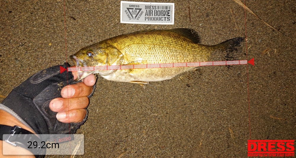 11990_0_cd8388901a0604dadc1ddc42f6424685