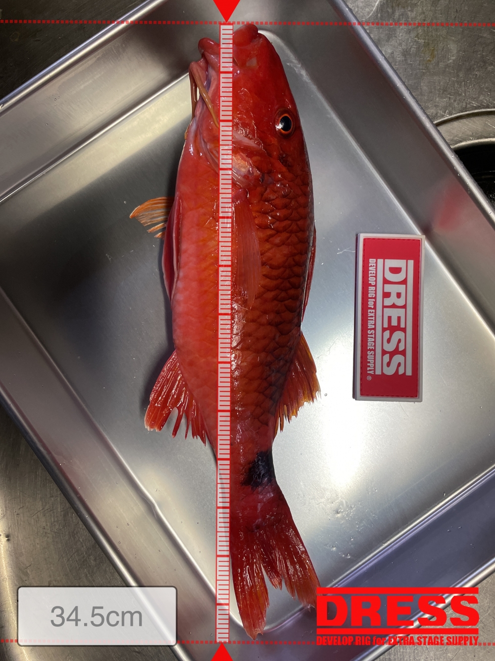 12030_0_5e22ae86299f66a0ed3ff6c91df9f8ce