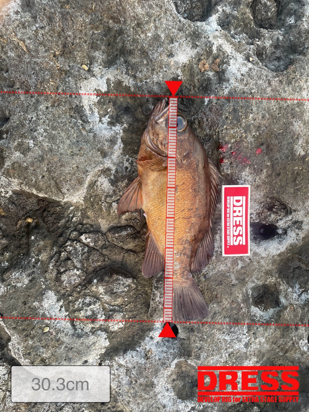 12030_0_b1d3835a367dcb161f0e61b9e9a75834