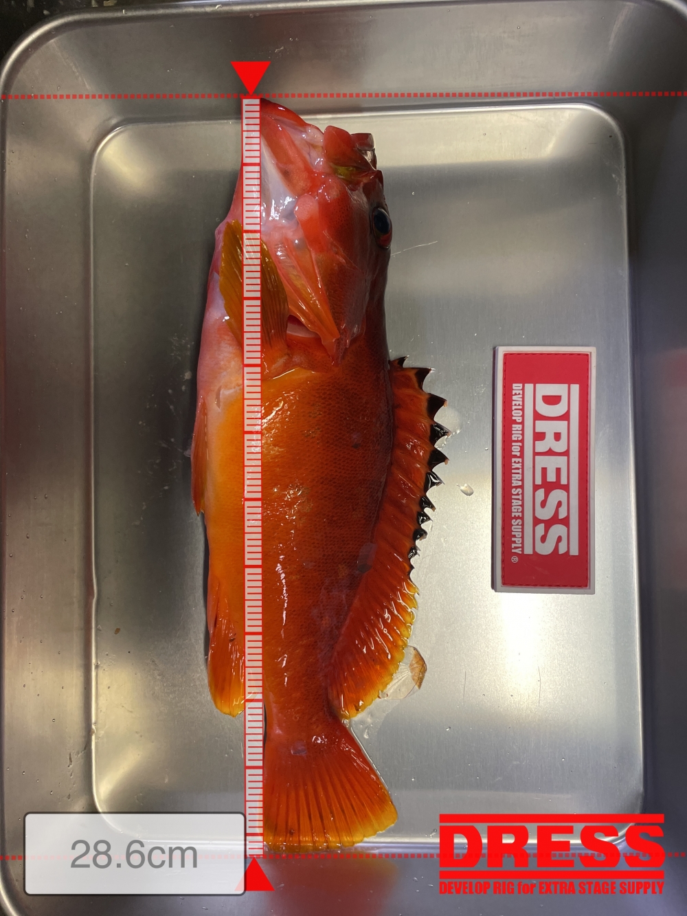 12030_0_ca0dc65cfe42f23c097a69efb8ce31c8