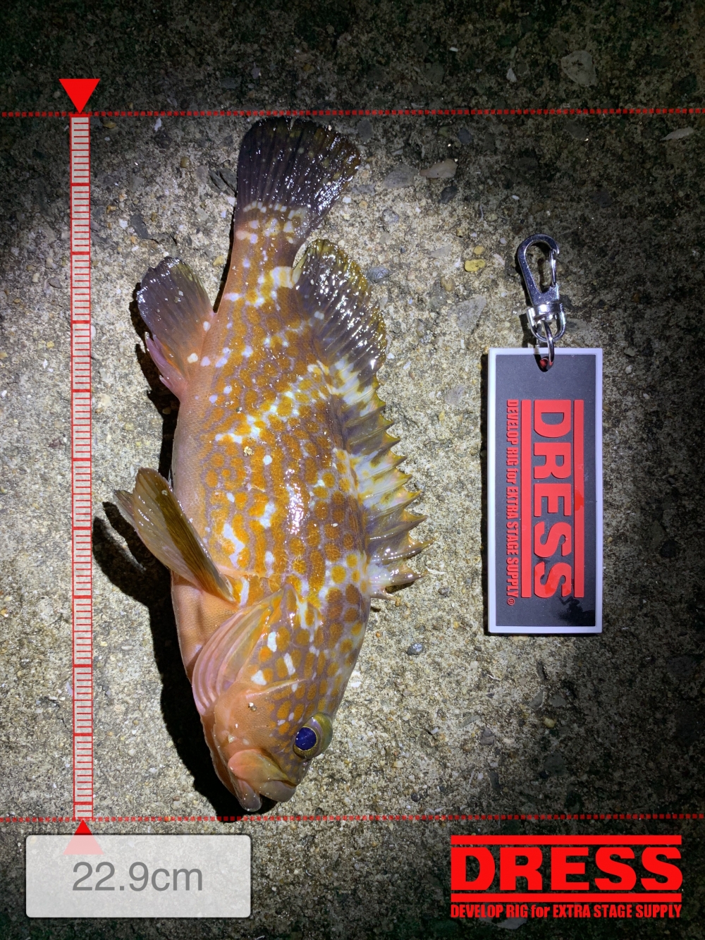 12048_0_73ed22016079d6015242290c0eb6994d