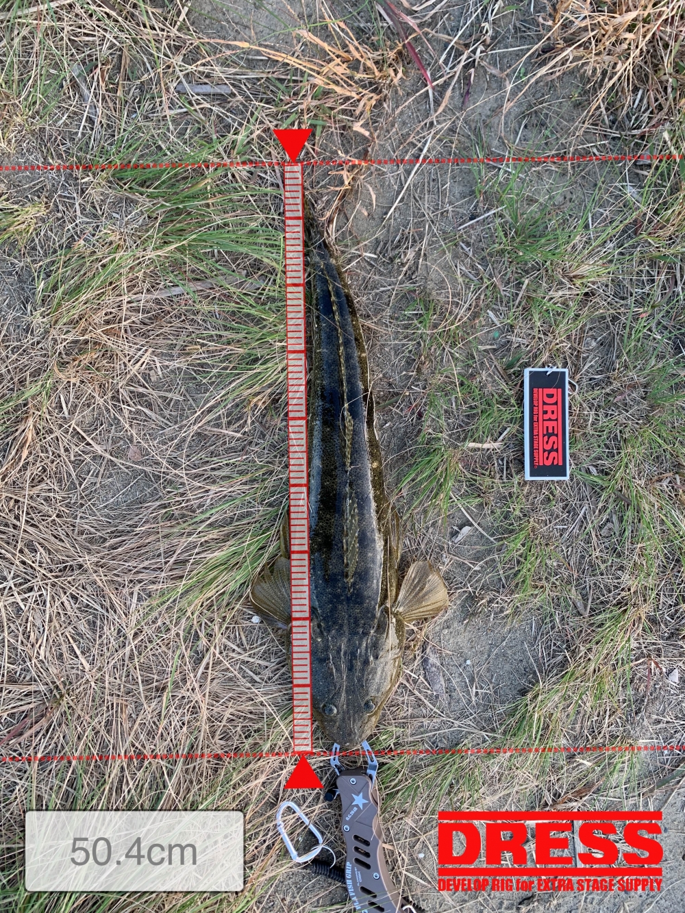 12056_0_da5e321e4d85918ec9544df9b270903c