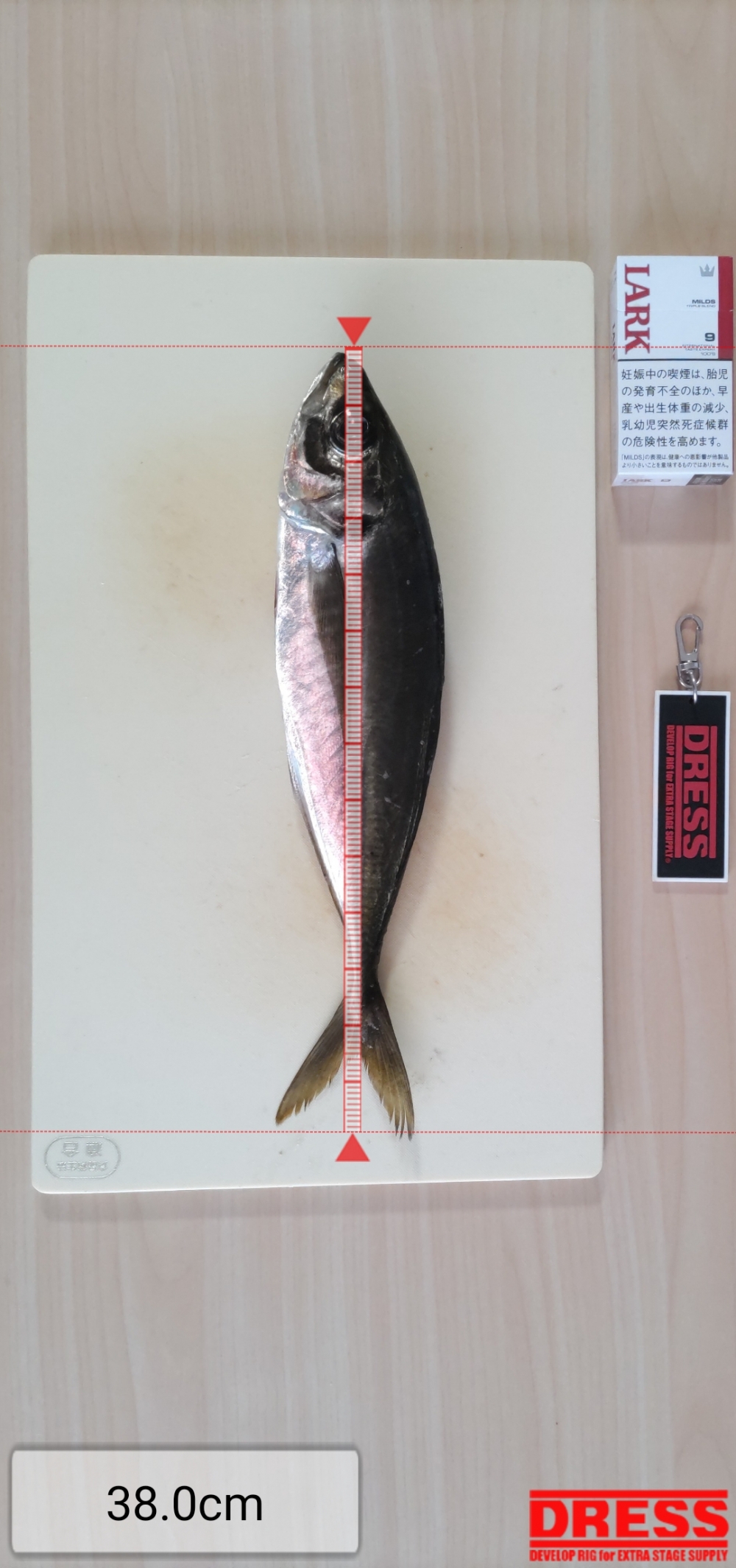 12075_0_95dd385d02f1f845fba491adfa79ea5d