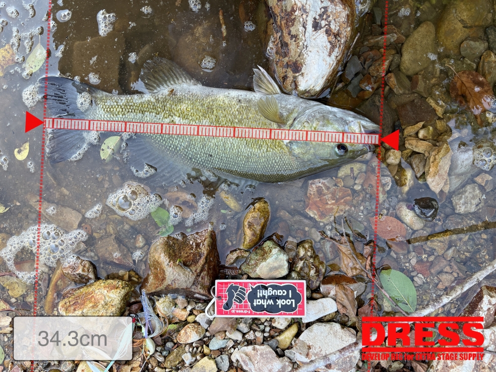 12118_0_ea3ef03fa510d117f423a4d9efd95174