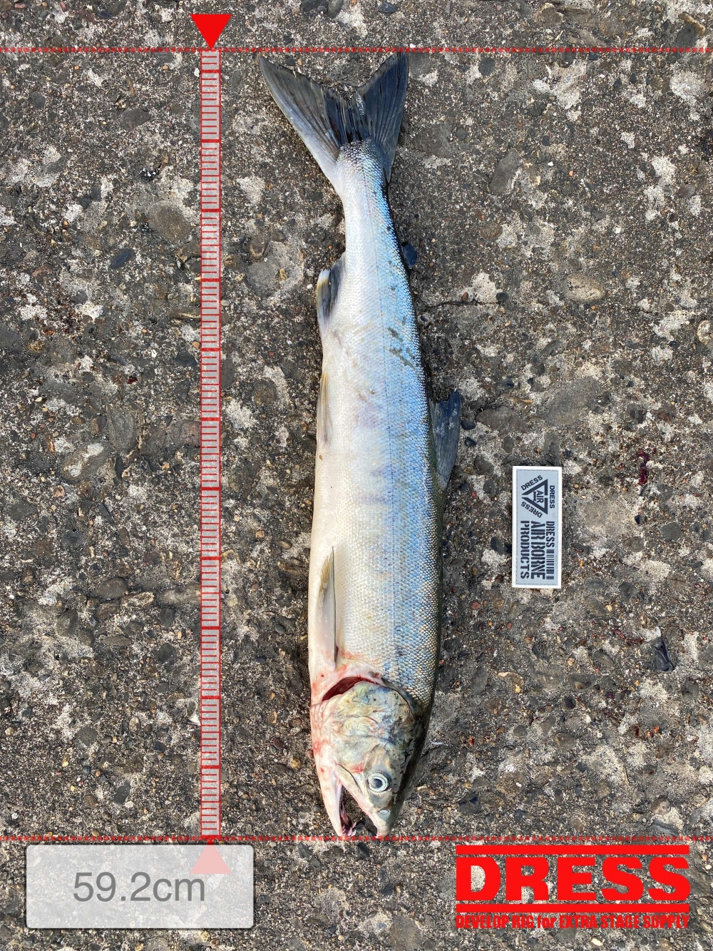 12119_0_4fe1aa8543981e402a38110d207f6334