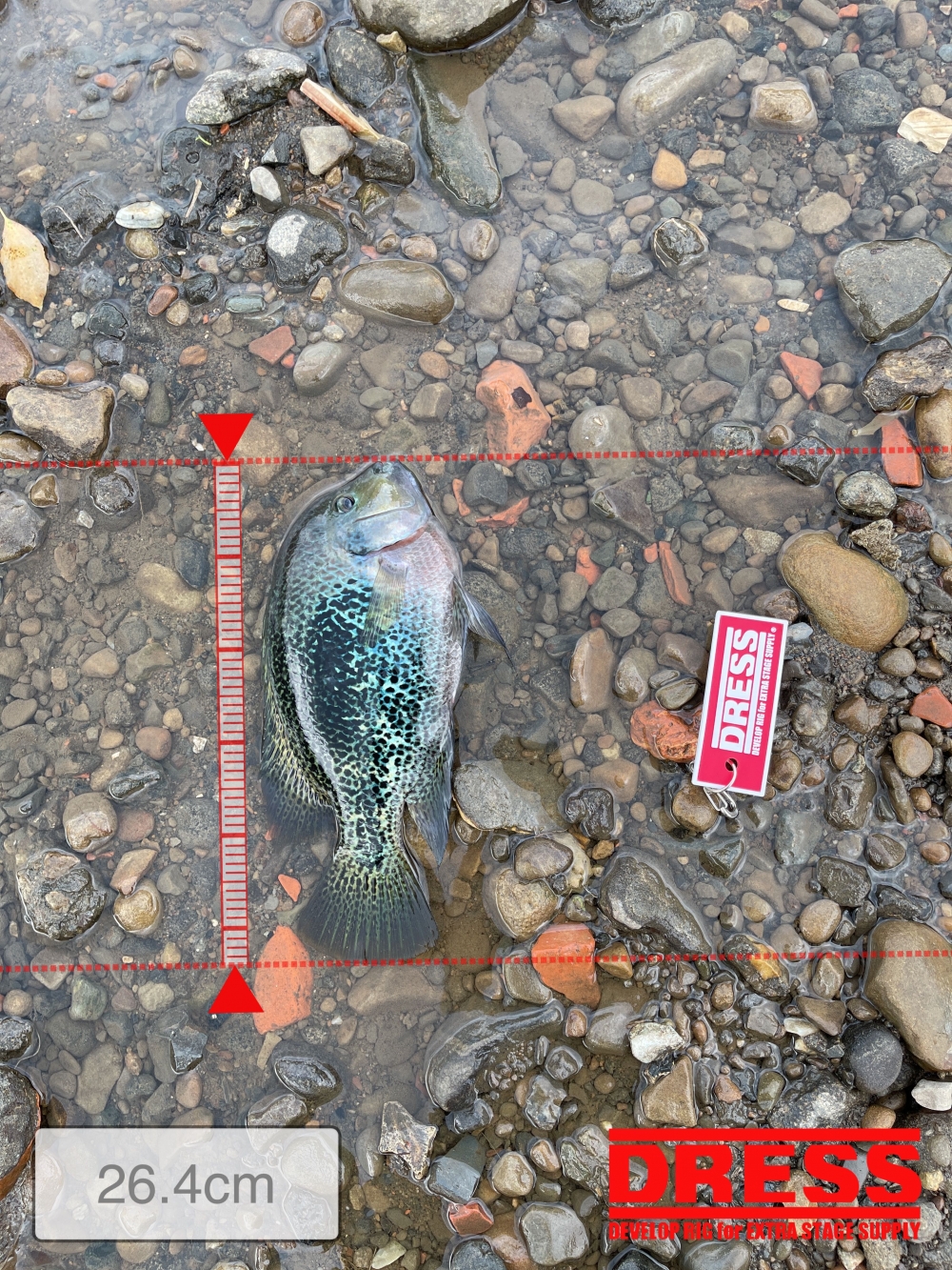 12163_0_7520b99809b5d3535acd15002a2c7e7e