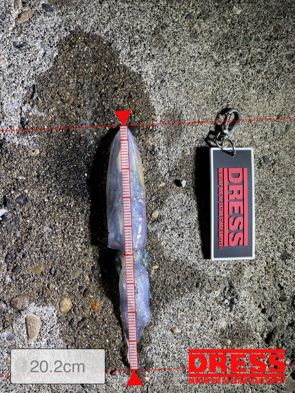 12201_0_08d4f2713c2d7fba3ca5c64cc751b7b9