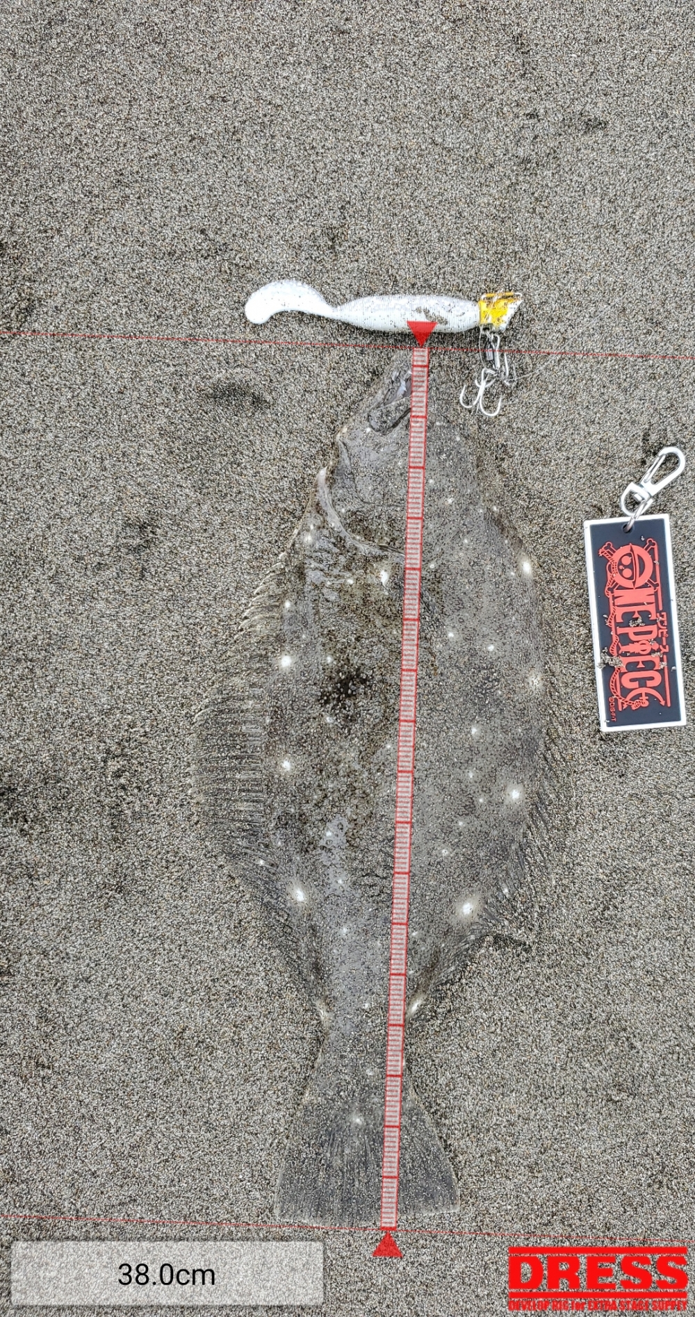 12222_0_3ef917b209425f060cf39ab21fb73743