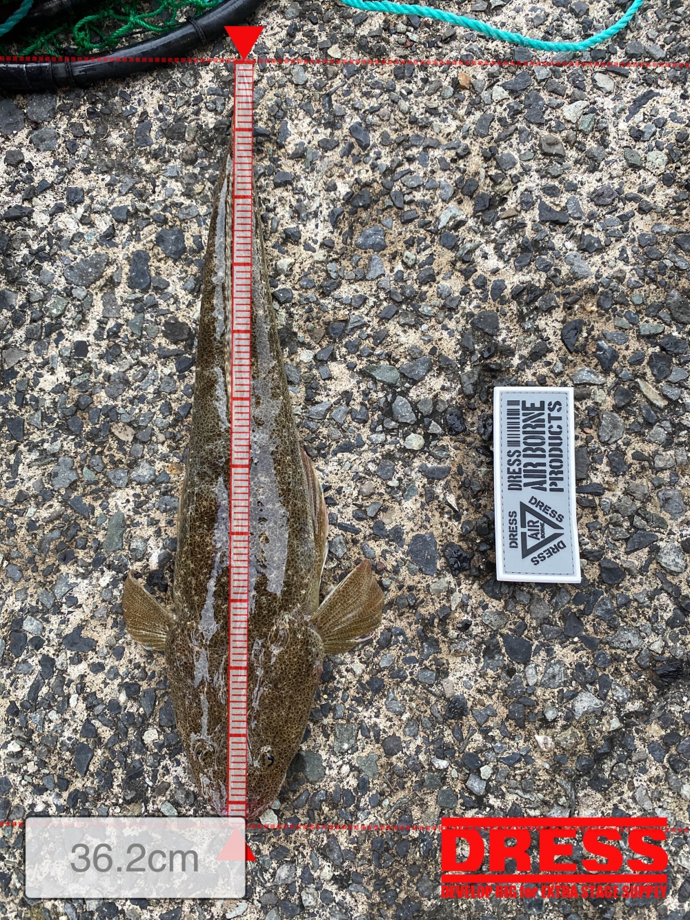 12227_0_2e727ba6cdbce6fd9ac40b018fd659ec