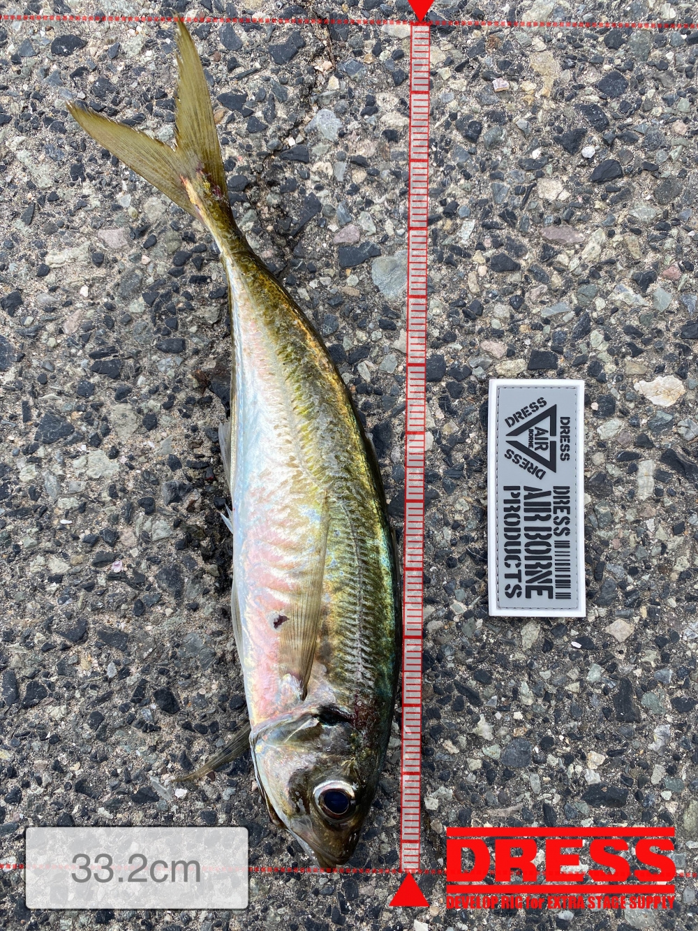 12227_0_5dcbfa63483cd8c29a747ddcafb7eed1