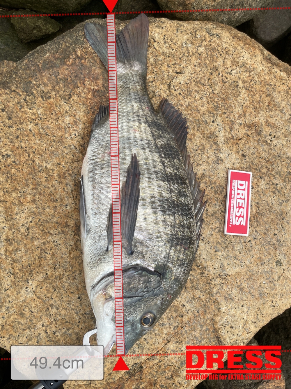 12243_0_ce9f59a3d2610d6449ab61d47a4e09e3