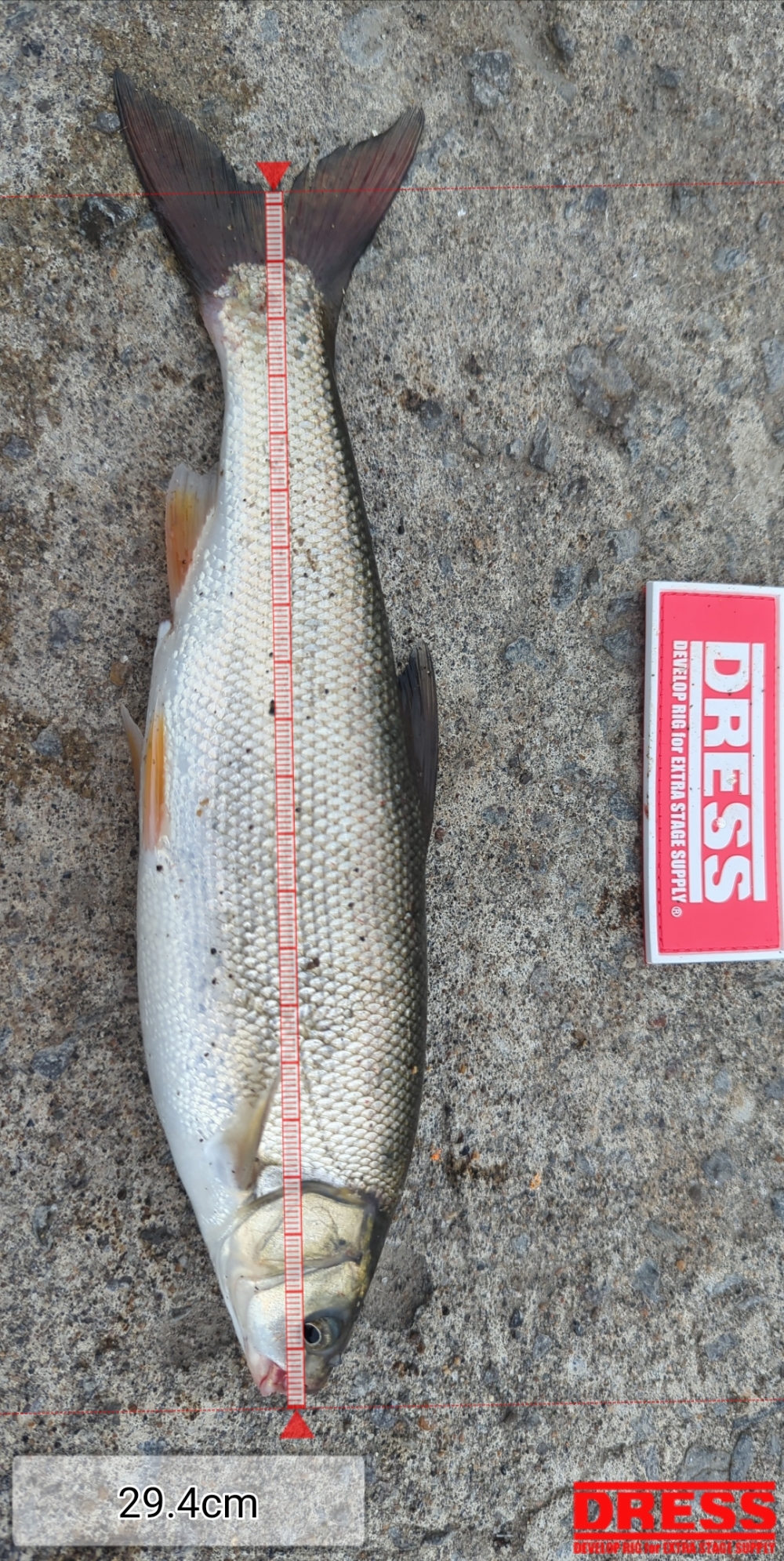 12256_0_a97610c94096a96775e3b71d4e8934be